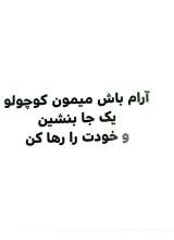 تصاویر بیشتر کتاب بچه باهوش (جلد چهار: میمون کوچولو آرام می گیرد)