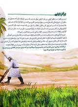 تصاویر بیشتر کتاب قصه های نهج البلاغه (جلد سوم: گرسنه ای که سیر نمی شود)
