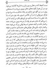 تصاویر بیشتر کتاب زیبای سیاه(رمان های ماندگار جهان)