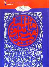 سیره نامه امیرالمومنین (جلد پنجم)