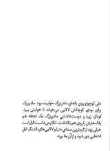 تصاویر بیشتر کتاب اینجا که مشهد نیست