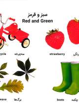 تصاویر بیشتر کتاب پیدا کن و بچین - رنگ های زیبا