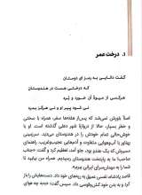 تصاویر بیشتر کتاب قصه های خیلی شیرین (جلد اول: مردی که مار در دهان داشت!)