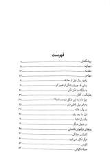 تصاویر بیشتر کتاب قلبی که دو بار فروریخت