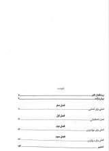 تصاویر بیشتر کتاب پرواز دسته جمعی پرنده ها