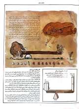تصاویر بیشتر کتاب دایره المعارف مصور دانشمند