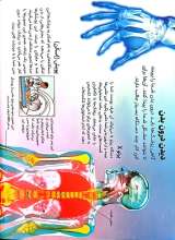 تصاویر بیشتر کتاب دانشنامه کوچک من (بدن انسان)