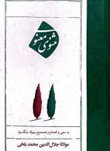 مثنوی معنوی (امیرکبیر)