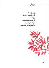 تصاویر بیشتر کتاب پنج و ده دقیقه