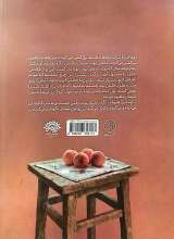 تصاویر بیشتر کتاب کت خاکی