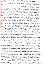 تصاویر بیشتر کتاب ایران شهر جلد اول