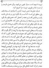 تصاویر بیشتر کتاب زیبای سیاه(رمان های ماندگار جهان)