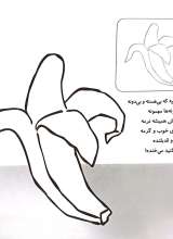 تصاویر بیشتر کتاب آشنایی با میوه ها