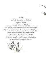 تصاویر بیشتر کتاب موش کوچولو دندان پزشک می‌شود(ماجرا های موش کوچولو_چهار)