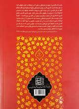 تصاویر بیشتر کتاب امین زبان و ادب پارسی