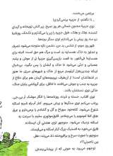 تصاویر بیشتر کتاب دارو دسته دارعلی(جلد دوم: گردان بلدرچین‌ها)