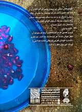 تصاویر بیشتر کتاب مسافر انارستان