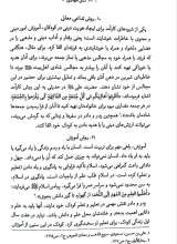 تصاویر بیشتر کتاب نسل مهدوی