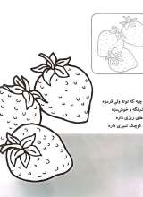 تصاویر بیشتر کتاب آشنایی با میوه ها