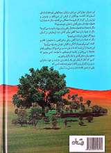تصاویر بیشتر کتاب از بوی گل آهسته تر