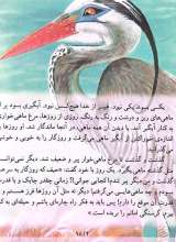 تصاویر بیشتر کتاب قصه های قشنگ و قدیمی (جلد هفدهم: 10 قصه از کلیله و دمنه)