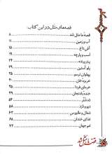 تصاویر بیشتر کتاب قصه ما مثل شد (جلد اول: جیبی)
