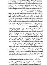 تصاویر بیشتر کتاب سیبیل قرضی