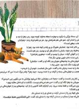 تصاویر بیشتر کتاب قشنگ ترین هدیه دنیا