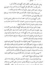 تصاویر بیشتر کتاب تن های محجر