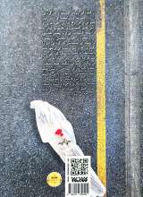 تصاویر بیشتر کتاب بیست و 2