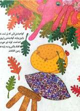 تصاویر بیشتر کتاب داستان های پپوچی