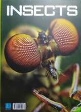 تصاویر بیشتر کتاب دانشنامه مصور حشرات
