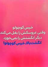تصاویر بیشتر کتاب بچه باهوش (جلد چهاردهم: انگشت ها بالا خرس قهوه ای)