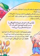 تصاویر بیشتر کتاب گنج گمشده