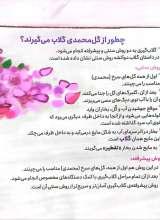 تصاویر بیشتر کتاب گلاب دو آتشه