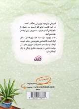تصاویر بیشتر کتاب ماجراهای امیر علی و ننه گلاب (جلد دوم)
