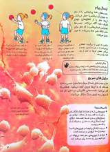 تصاویر بیشتر کتاب دانشنامه کوچک من (بدن انسان)