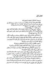 تصاویر بیشتر کتاب رویای بی قرار