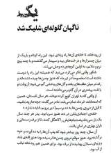 تصاویر بیشتر کتاب آشیانه در مه
