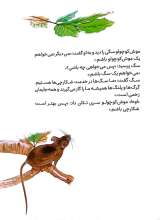 تصاویر بیشتر کتاب من نمی خواهم یک موش کوچولو باشم