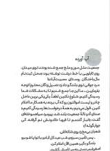 تصاویر بیشتر کتاب سیبیل قرضی