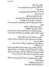 تصاویر بیشتر کتاب چنین دیدم