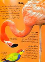 تصاویر بیشتر کتاب جانوران - دانشنامه کوچک من