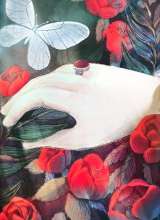 تصاویر بیشتر کتاب کبوتر کاغذی