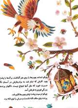 تصاویر بیشتر کتاب چیکو